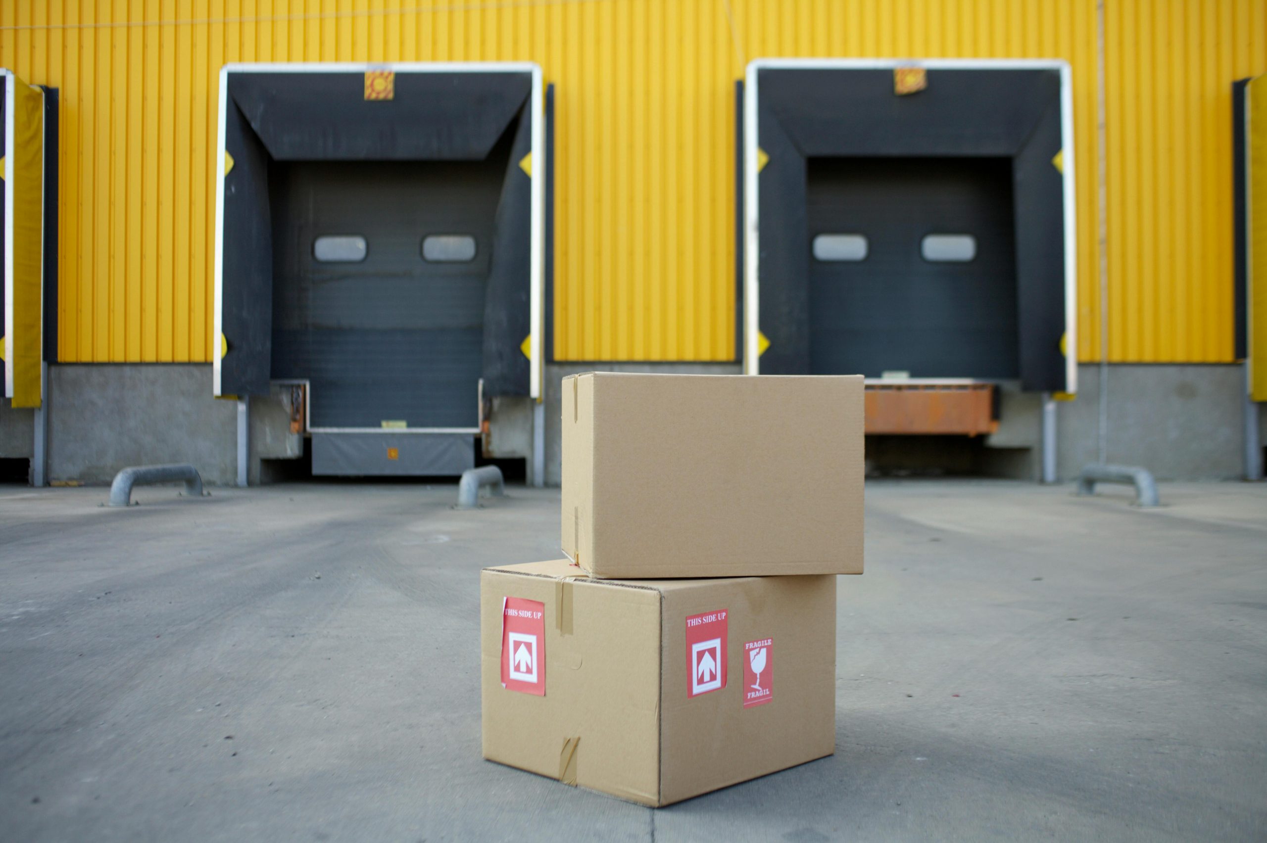 Meet the Local Movers Trusted Across the Greater Vancouver Area